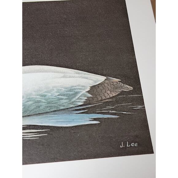 John P Lee 1982 Unframed print Canvasback #8/625 Pencil Signed 11⅛ x 10¼ - Picture 7 of 7